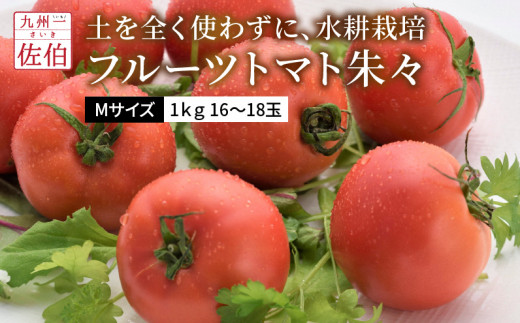 フルーツトマト朱々 Mサイズ 1ｋｇ 16 18玉 大分県佐伯市 ふるさと納税 ふるさとチョイス