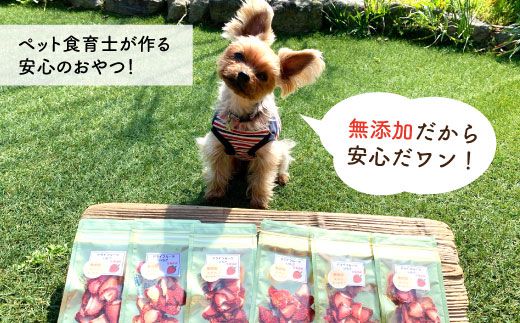 6袋 3回定期便 犬の無添加おやつ お砂糖不使用 旬のドライフルーツ定期便 ペットフード 吉野ヶ里まちづくり会 Fcg008 佐賀県吉野ヶ里町 ふるさと納税 ふるさとチョイス