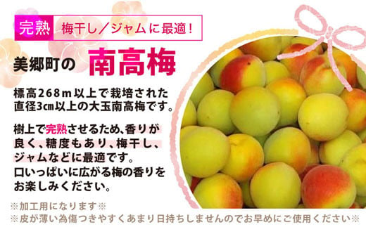 期間限定】 ※受付期間6月20日まで 美郷町産 「南高梅」 完熟梅 4.5kg