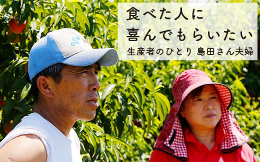 代々受け継がれてきた農業を営まれている島田さん夫婦。農業指導員をしていた経験を生かし、多種多様な農作物を育てています。