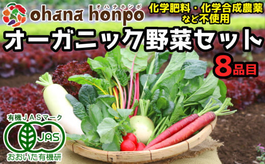 有機JAS認証★ohana本舗厳選オーガニック野菜セット（8品目）