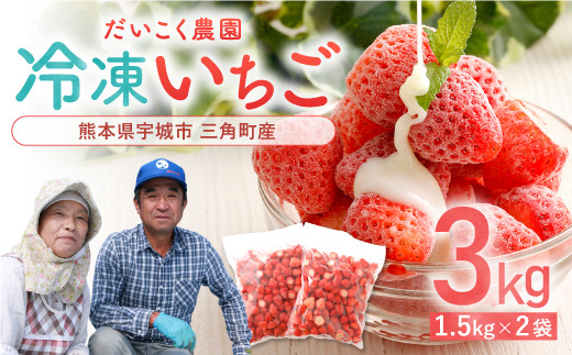 熊本県産 冷凍 いちご 3㎏（1.5kg×2袋）だいこく農園 イチゴ 苺 果物