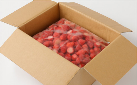 熊本県産 冷凍 いちご 3㎏（1.5kg×2袋）だいこく農園 イチゴ 苺 果物