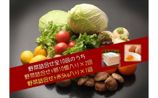 I0 006 季節の野菜詰め合わせの定期便10回 上旬 長崎県松浦市 ふるさと納税 ふるさとチョイス