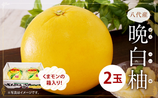 八代産 晩白柚2玉(くまモンの箱入り)柑橘 ばんぺいゆ