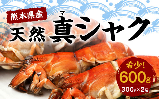 熊本県産 希少 天然 真シャク 600g(300g×2袋)