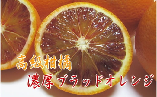 濃厚ブラッドオレンジ タロッコ ３kg 高級柑橘 和歌山県美浜町 ふるさと納税 ふるさとチョイス