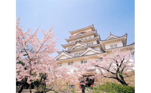築城400年を記念して、福山城のかつての姿を復元します！