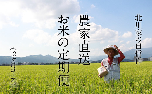 【定期便】(12ヶ月連続お届け) 北川農産直送、お米の定期便(5kg×12回)