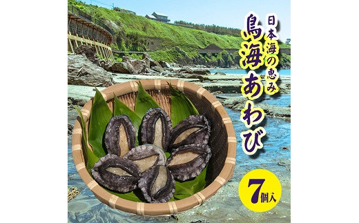 377 遊佐町産 鳥海あわび 山形県遊佐町 ふるさと納税 ふるさとチョイス