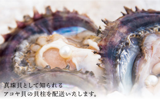 数量限定 先行予約 幻の味 真珠貝 アコヤ の貝柱 １kg 生食可 西彼町漁協 Cbz007 長崎県西海市 ふるさと納税 ふるさとチョイス