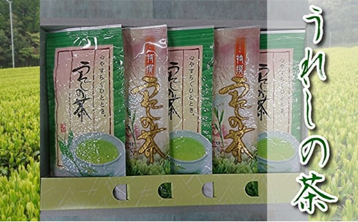 【緑茶】うれしの茶（嬉野茶）特選・孔子セット　※画像はイメージです