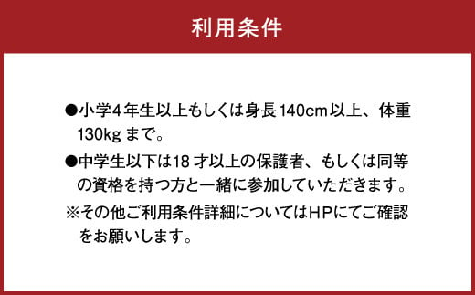 フォレストアドベンチャー 美里 合計 7サイト ペア招待券 2名様 熊本県美里町 ふるさと納税 ふるさとチョイス