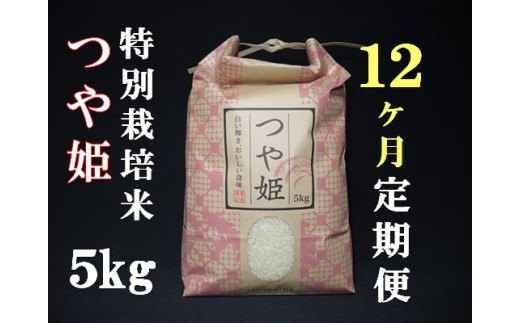 令和5年産【定期便12回】大沼ファームの特別栽培米つや姫5kg×12回