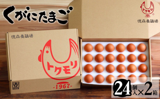 くがにたまご【24個入り×2箱】徳森養鶏場 - 沖縄県うるま市