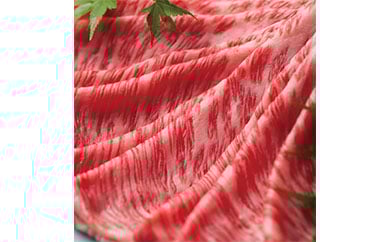 近江牛岡喜 すき焼き・しゃぶ用(肩ロース)300g×3P