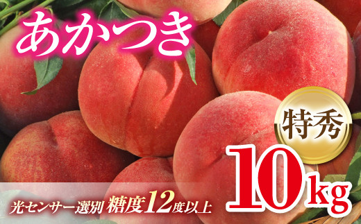 先行予約 透過式光センサー選別 福島県伊達市産 桃 あかつき 特秀 約10kg Fc 199 福島県伊達市 ふるさと納税 ふるさとチョイス