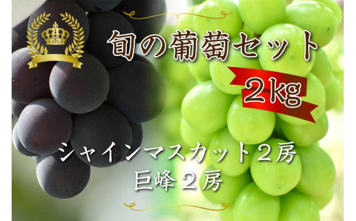 3704 特選 旬の葡萄セット2 シャインマスカット2房 巨峰2房 種なし 山梨県山梨市 ふるさと納税 ふるさとチョイス
