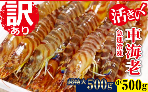 【久米総合開発】【訳あり】活〆急速冷凍車海老500g(小)+500g(超特大)