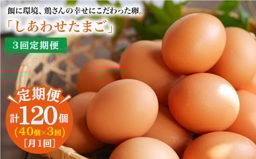 【月1回40個×3回 定期便 】 平飼い 「 しあわせ たまご 」計120個＜松本養鶏場＞ [CCD024] 244026 - 長崎県西海市
