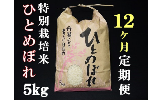 令和5年産【定期便12回】大沼ファームの特別栽培米ひとめぼれ5kg×12回