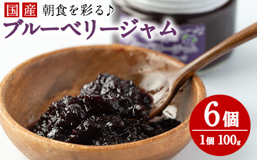 贅沢な国産ブルーベリージャム 100g 6個 計600g 村山製油 鹿児島県東串良町 ふるさとチョイス ふるさと納税サイト 贅沢な国産ブルーベリージャム 100g 6個 計600g 村山製油 鹿児島県東串良町 ふるさとチョイス ふるさと納税サイト