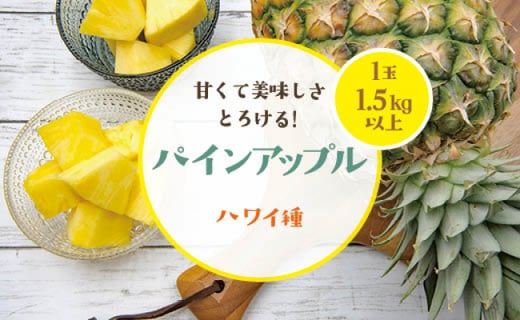 22年発送 パインアップル１玉 ハワイ種 鹿児島県南大隅町 ふるさと納税 ふるさとチョイス
