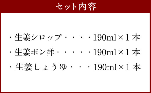 しょうがの里東陽 生姜を使った調味料 3本セット