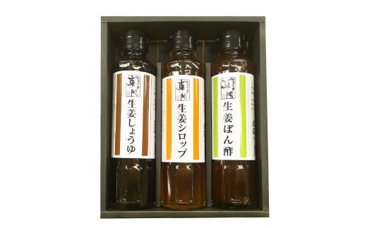 しょうがの里東陽 生姜を使った調味料 3本セット