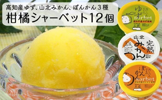 アイスクリーム 3種 12個 セット 柑橘 シャーベット 母の日 高知県産 須崎市 319296 - 高知県須崎市