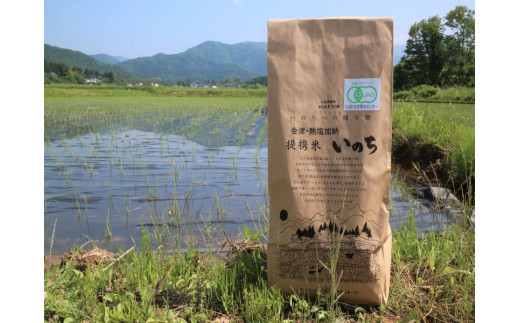 有機無農薬ＪＡＳ認証米コシヒカリ白米5㎏ 244082 - 福島県喜多方市