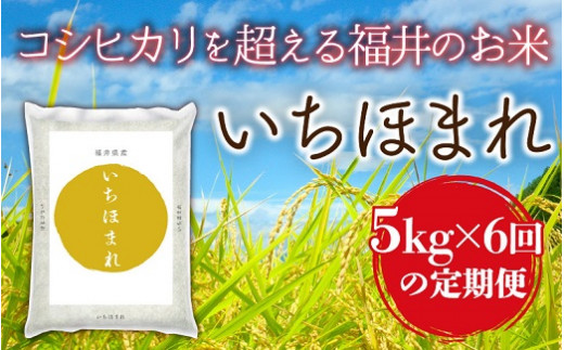 1035 【定期便】令和2年産福井県産いちほまれ5キロ×6回コース