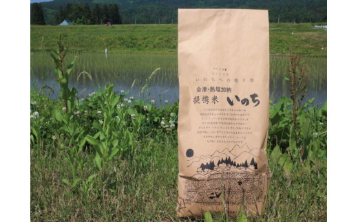 特別栽培米全農福島認証コシヒカリ白米5㎏ 244081 - 福島県喜多方市