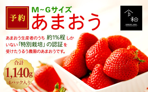 うるう農園の あまおう M Gサイズ 4パック 1140g 苺 イチゴ 福岡県太宰府市 ふるさと納税 ふるさとチョイス