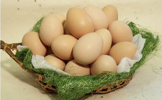 きれいな湧水を飲み、のびのびと育ったジローが産む卵は自然の恵みが凝縮された味わいで卵黄独特の臭みが無く、甘味があるのが特徴です。