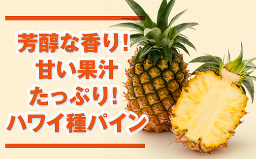 Zh 16 ハワイ種パイナップル４玉 沖縄県石垣市 ふるさと納税 ふるさとチョイス