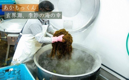 あかもくって、こんな海藻なんです!
大きな鍋で茹でていくと、鮮やかな緑色に変化します!
