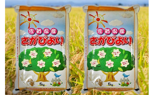 令和2年産 ごはんソムリエ 米 食味鑑定士が選んだ さがびより10kg H 佐賀県神埼市 ふるさと納税 ふるさとチョイス