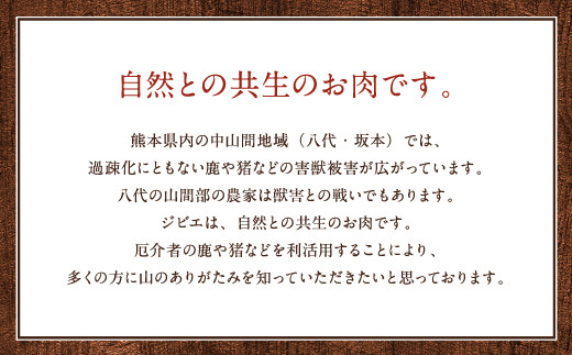 プレミアム猪肉 やっちろ盛りセット ロース  バラ  モモ 各500g