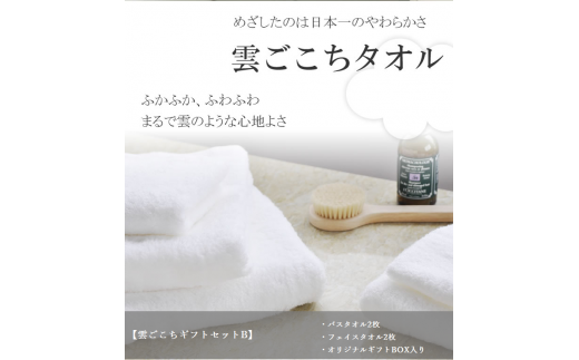 今治タオルブランド認定 ｅ 506 雲ごこちギフトセット ｂ 愛媛県今治市 ふるさと納税 ふるさとチョイス