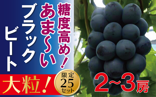 福原農園 岡山のあまーいブラックビート約1kg(2〜3房)