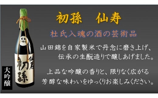 ふるさと納税 SJ0002 厳選のめちゃセット 山形県酒田市-