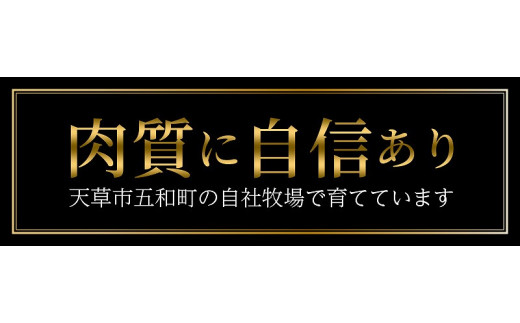 S001-002_天草産 黒毛和牛 霜降り控えめA4クラス 特選サーロイン