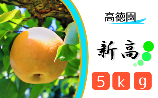 [高徳園]松戸の完熟梨「新高」5kg