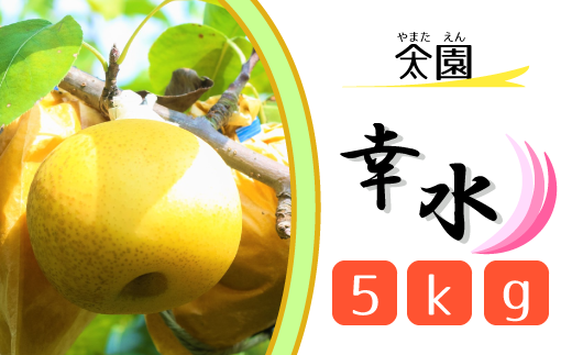 [山太園]松戸の完熟梨「幸水」5kg