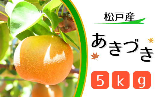 松戸の完熟梨「あきづき」5kg