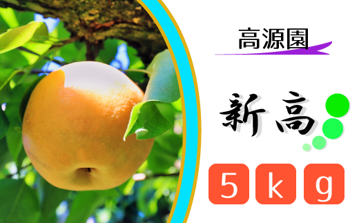 [高源園]松戸の完熟梨「新高」5kg