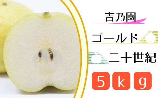 CD018 【吉乃園】松戸の完熟梨「ゴールド二十世紀」5kg