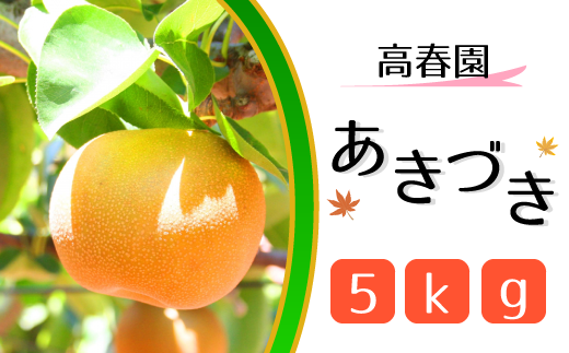[高春園]松戸の完熟梨「あきづき」5kg