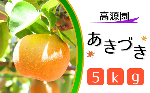CJ004 【高源園】松戸の完熟梨「あきづき」5kg